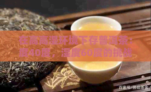 在高高湿环境下存普洱茶：度40度，湿度60度的挑战与应对策略