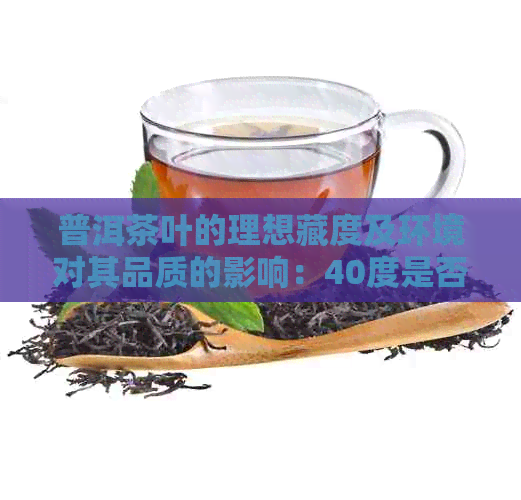 普洱茶叶的理想藏度及环境对其品质的影响：40度是否合适？