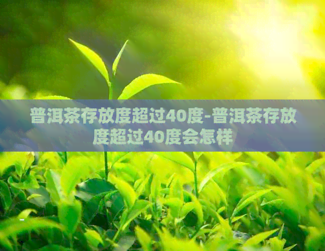 普洱茶存放度超过40度-普洱茶存放度超过40度会怎样