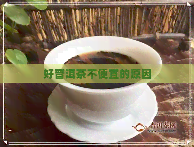 好普洱茶不便宜的原因