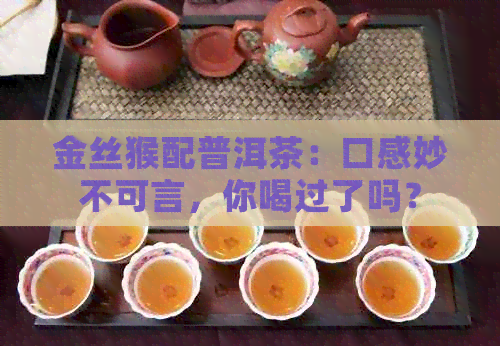 金丝猴配普洱茶：口感妙不可言，你喝过了吗？