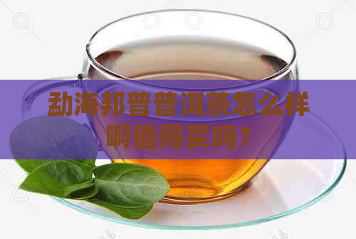 勐海邦普普洱茶怎么样啊值得买吗？