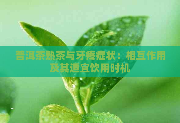 普洱茶熟茶与牙疼症状：相互作用及其适宜饮用时机