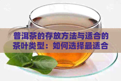 普洱茶的存放方法与适合的茶叶类型：如何选择最适合您的普洱茶？