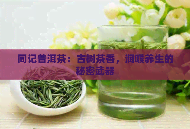 同记普洱茶：古树茶香，润喉养生的秘密武器