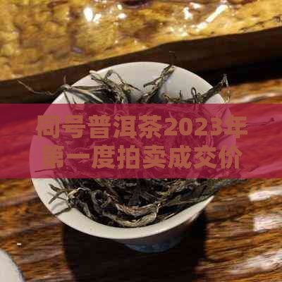 同号普洱茶2023年之一度拍卖成交价汇总