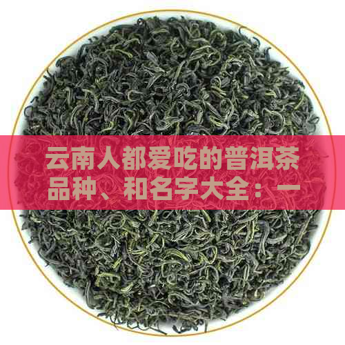 云南人都爱吃的普洱茶品种、和名字大全：一份全指南