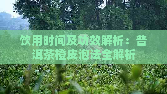 饮用时间及功效解析：普洱茶橙皮泡法全解析