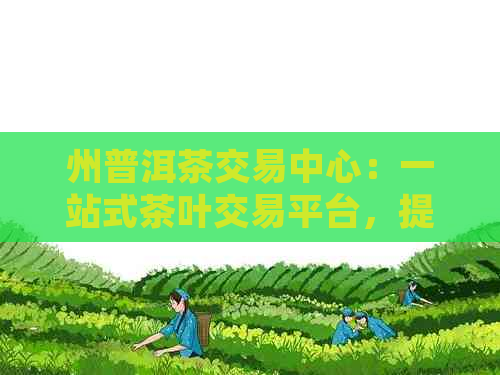 州普洱茶交易中心：一站式茶叶交易平台，提供优质普洱茶及专业服务