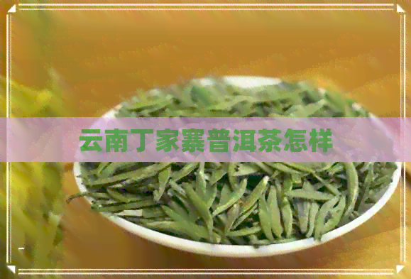 云南丁家寨普洱茶怎样