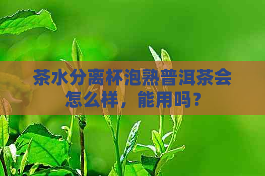 茶水分离杯泡熟普洱茶会怎么样，能用吗？