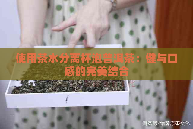 使用茶水分离杯泡普洱茶：健与口感的完美结合