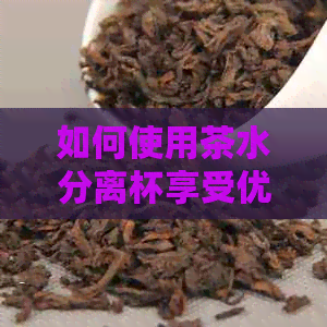 如何使用茶水分离杯享受优质茶叶体验