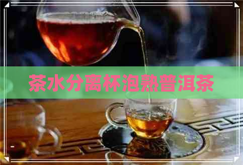 茶水分离杯泡熟普洱茶