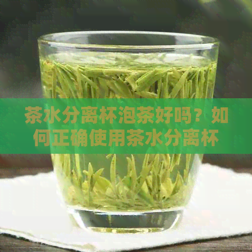 茶水分离杯泡茶好吗？如何正确使用茶水分离杯，可以泡哪些茶？