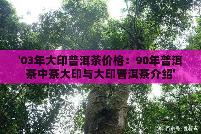 '03年大印普洱茶价格：90年普洱茶中茶大印与大印普洱茶介绍'