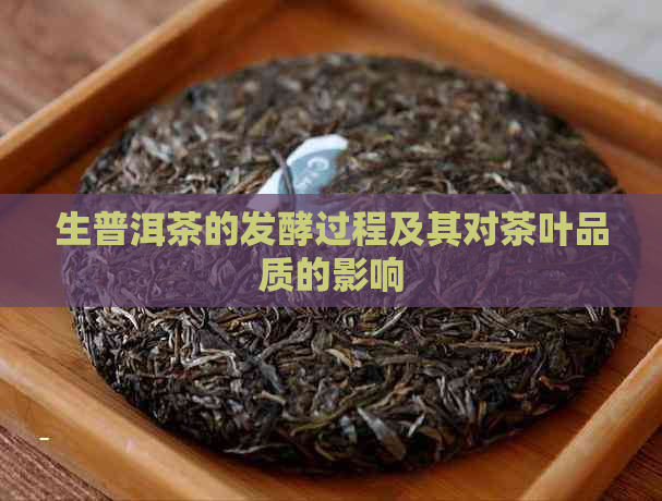 生普洱茶的发酵过程及其对茶叶品质的影响