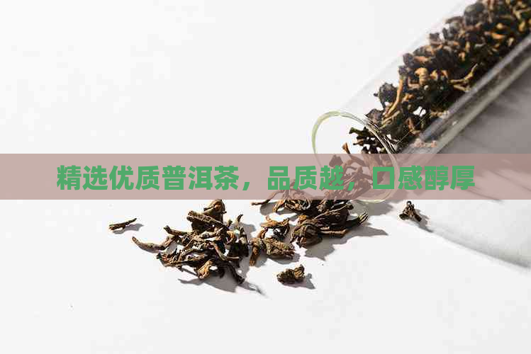 精选优质普洱茶，品质越，口感醇厚