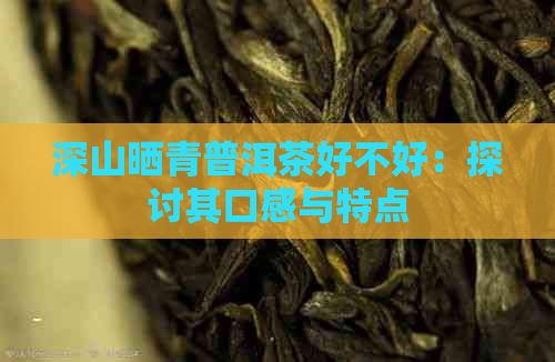 深山晒青普洱茶好不好：探讨其口感与特点