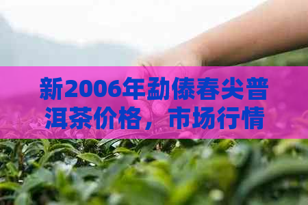 新2006年勐傣春尖普洱茶价格，市场行情分析与品质特点探讨