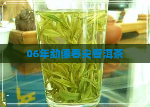 06年勐傣春尖普洱茶