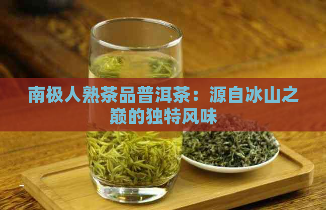 南极人熟茶品普洱茶：源自冰山之巅的独特风味