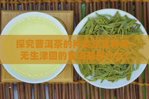 探究普洱茶的种类及其特点：无生津回的普洱茶是什么？