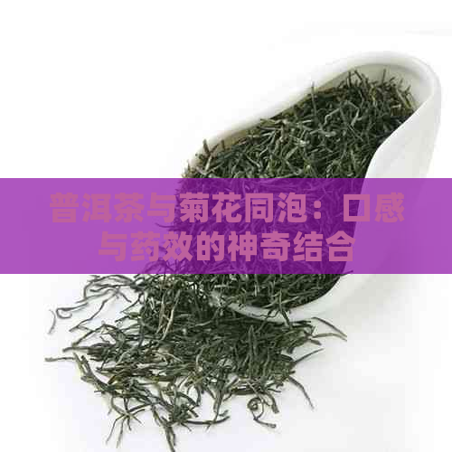 普洱茶与菊花同泡：口感与药效的神奇结合