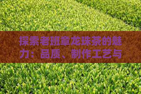 探索老班章龙珠茶的魅力：品质、制作工艺与口感全方位解析