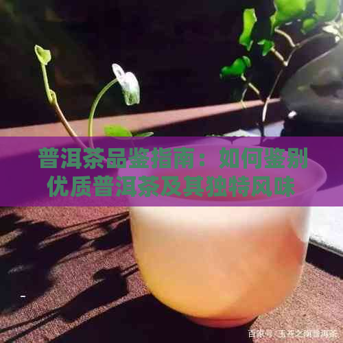 普洱茶品鉴指南：如何鉴别优质普洱茶及其独特风味