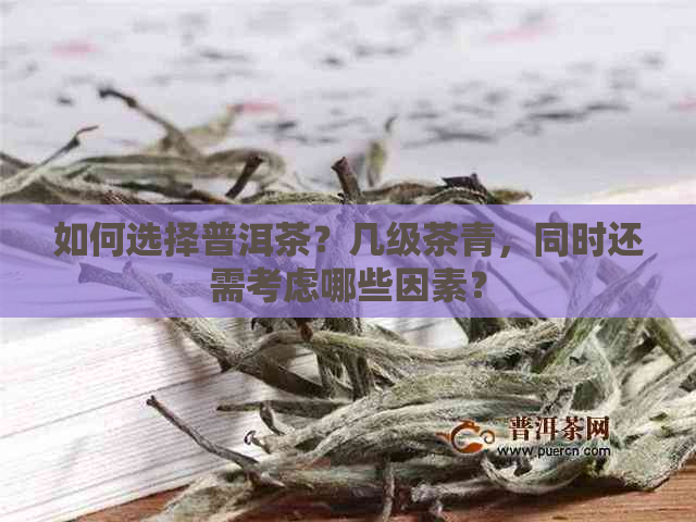 如何选择普洱茶？几级茶青，同时还需考虑哪些因素？