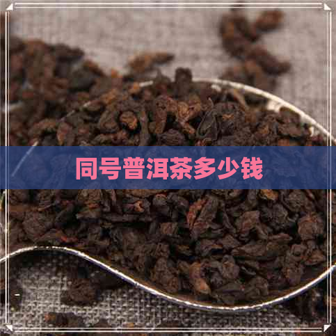 同号普洱茶多少钱