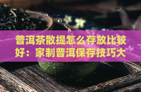 普洱茶散提怎么存放比较好：家制普洱保存技巧大全