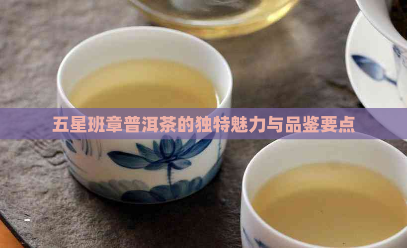 五星班章普洱茶的独特魅力与品鉴要点