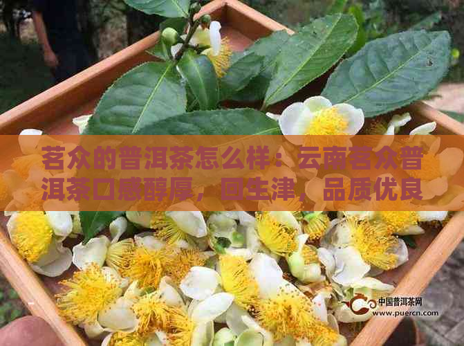 茗众的普洱茶怎么样：云南茗众普洱茶口感醇厚，回生津，品质优良。