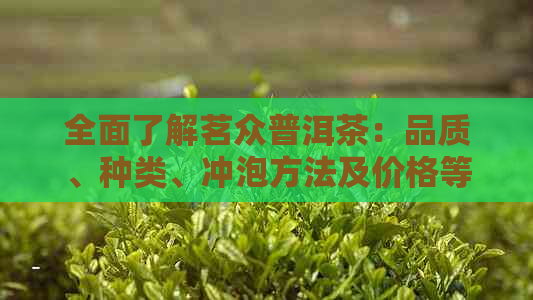 全面了解茗众普洱茶：品质、种类、冲泡方法及价格等一应俱全