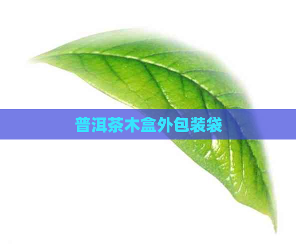 普洱茶木盒外包装袋