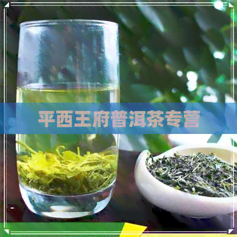 平西王府普洱茶专营