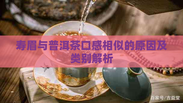 寿眉与普洱茶口感相似的原因及类别解析