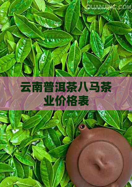 云南普洱茶八马茶业价格表