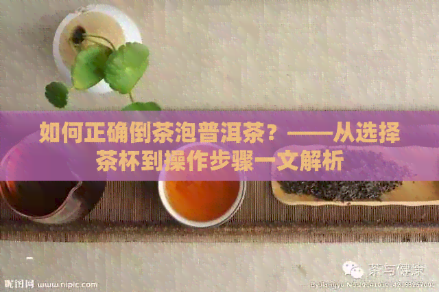 如何正确倒茶泡普洱茶？——从选择茶杯到操作步骤一文解析