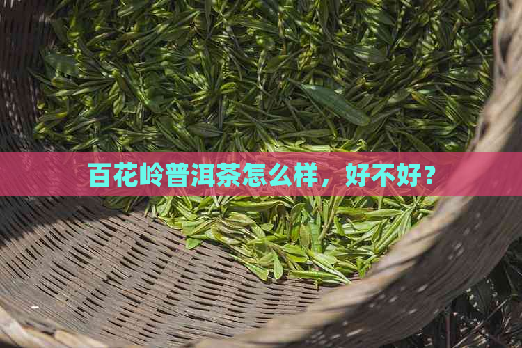 百花岭普洱茶怎么样，好不好？