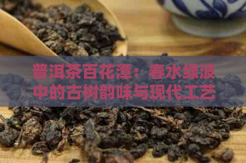 普洱茶百花潭：春水绿波中的古树韵味与现代工艺的完美融合