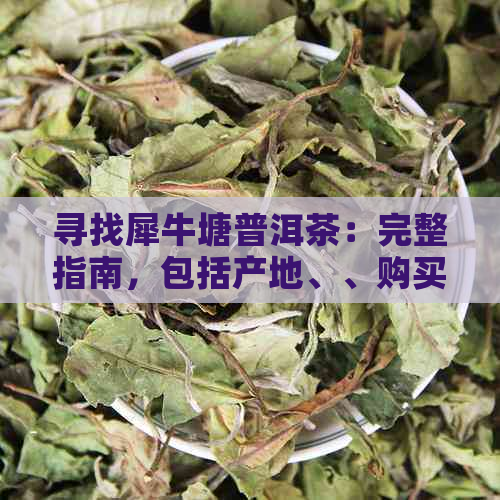 寻找犀牛塘普洱茶：完整指南，包括产地、、购买和冲泡方法