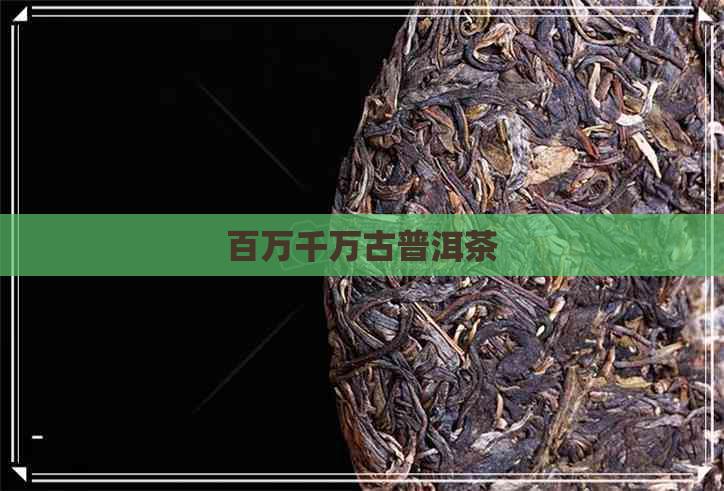 百万千万古普洱茶