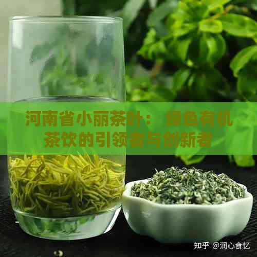 河南省小丽茶叶： 绿色有机茶饮的引领者与创新者