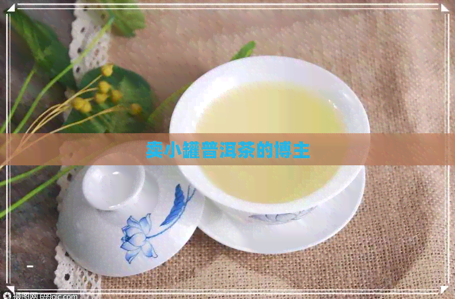 卖小罐普洱茶的博主