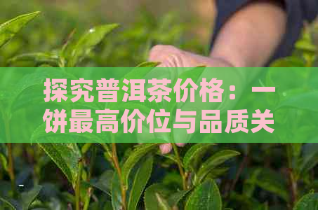 探究普洱茶价格：一饼更高价位与品质关系分析