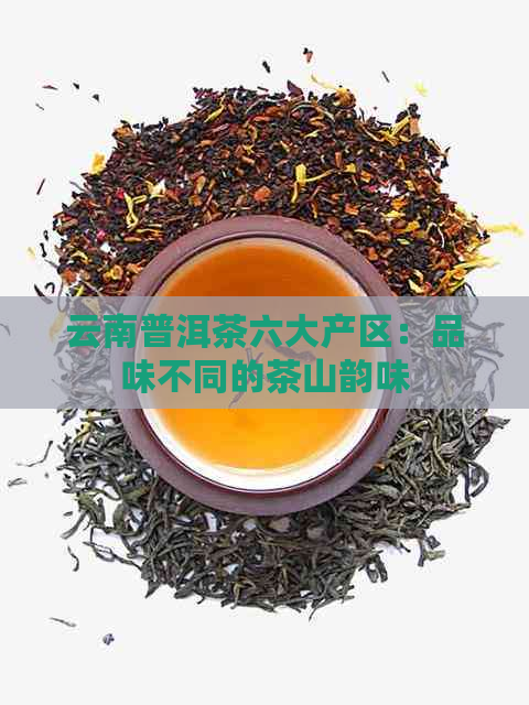 云南普洱茶六大产区：品味不同的茶山韵味