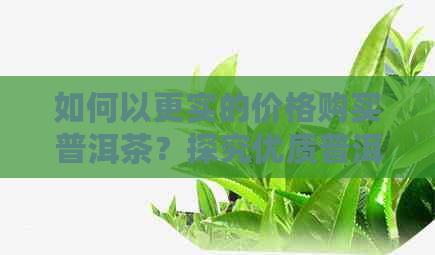 如何以更实的价格购买普洱茶？探究优质普洱茶的性价比之选